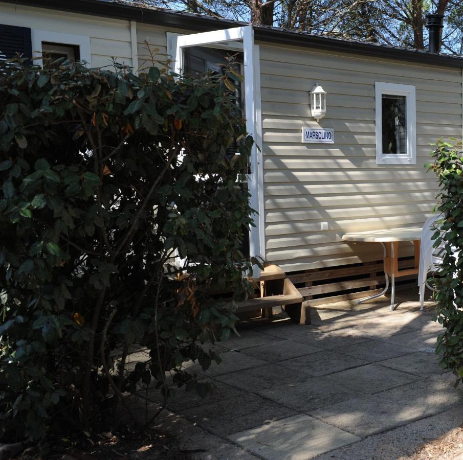 Camping International Calvi  Exterior photo